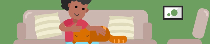 Creating a Plan for Your Pet