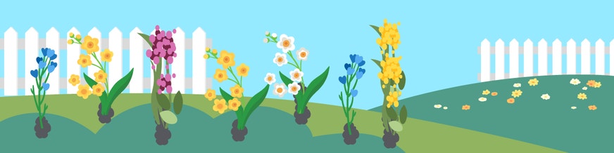 a garden of flowers