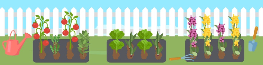 a basic garden setup
