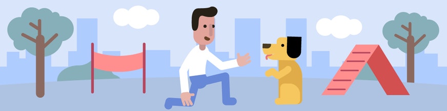 person training dog