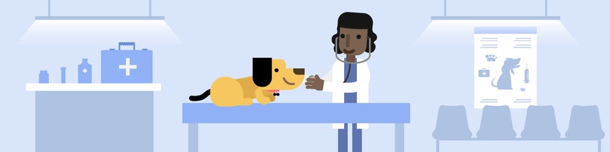 dog at vet
