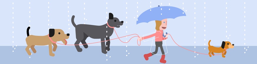 person walking dogs