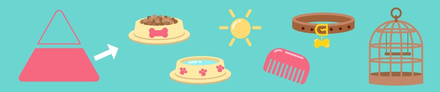 Essential Pet Needs and Important Pet Care Practices